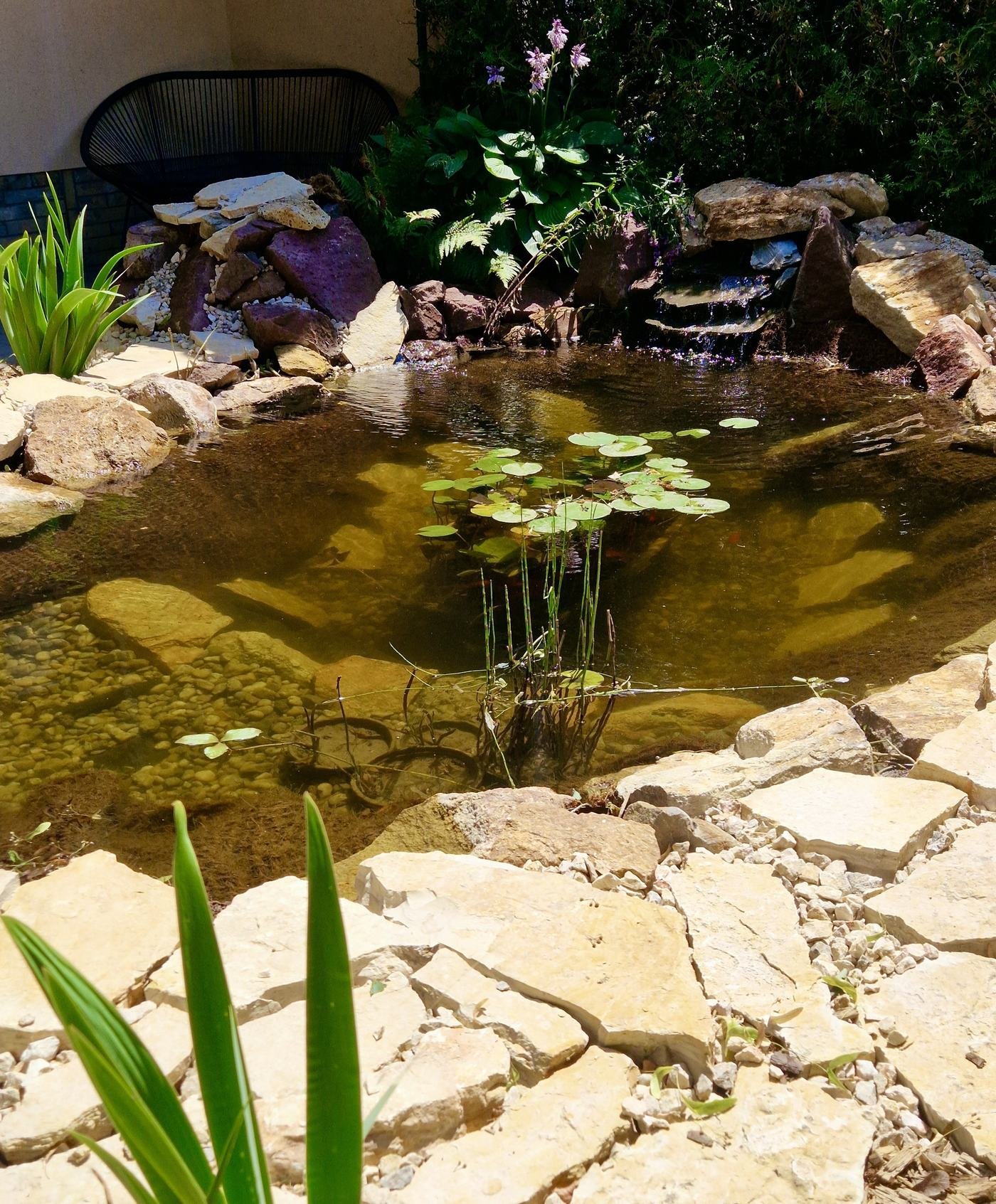 Naturnaher Gartenteich mit Wasserspiel, Seerosen und Bachlauf.