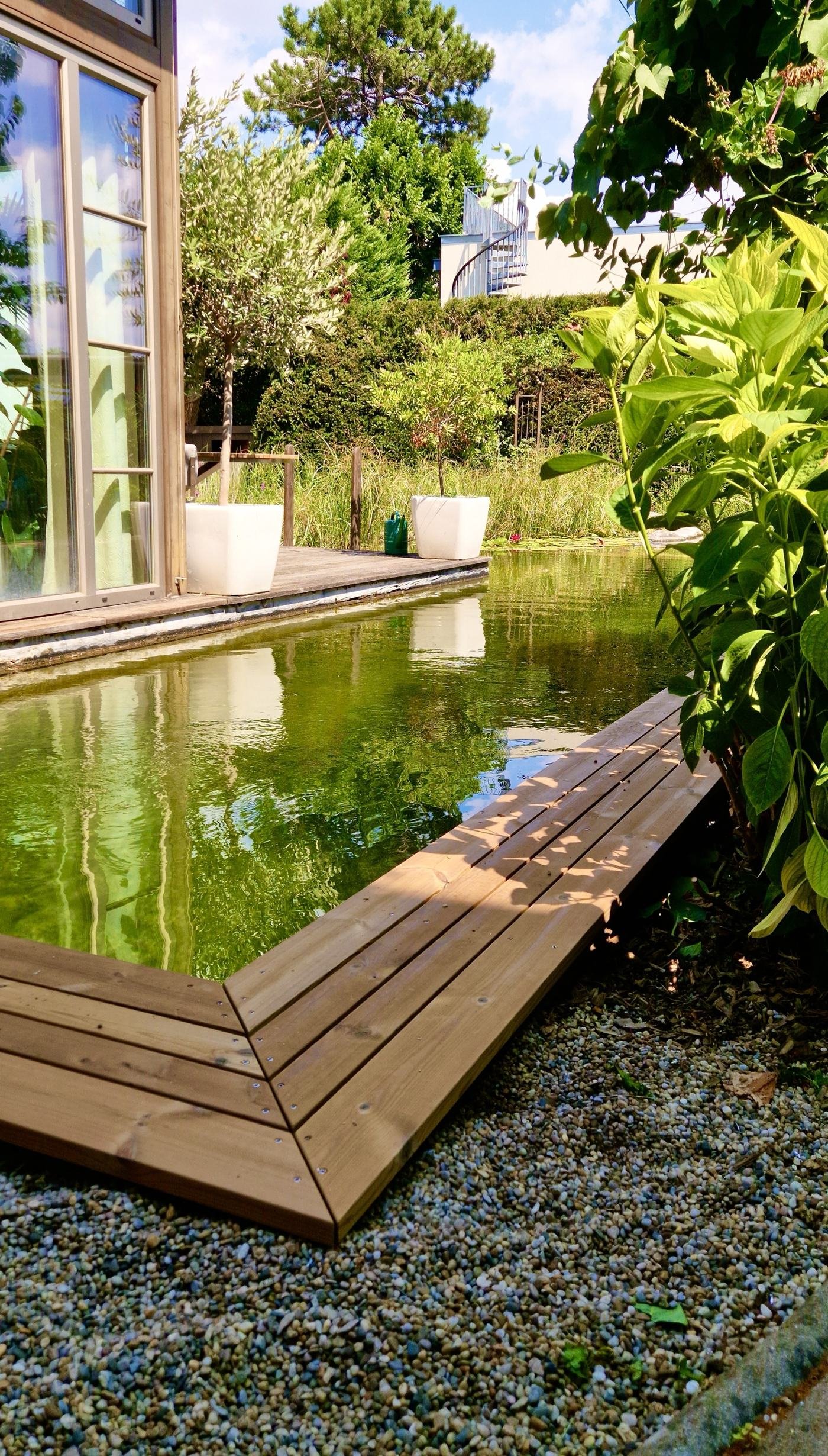 Naturnaher Teich mit selbstgebautem Holzsteg direkt am Haus.